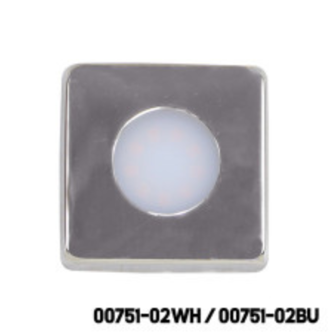 00751-02WH / 00751-02BU LED COURTSEY, WITH S.S.304 COVER