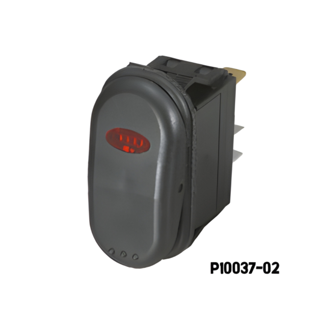 P10037-02